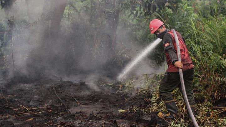 TOT Pelatihan Teknik Pencegahan  Kebakaran Hutan dan Lahan Bagi Masyarakat Peduli Api Berkesadaran Hukum