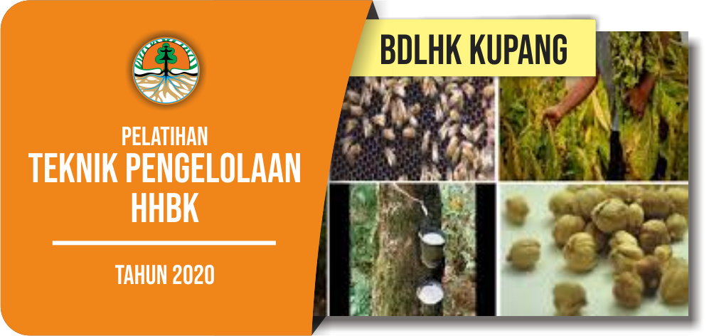 Pelatihan Teknik Pengelolaan HHBK - BDLHK Kupang