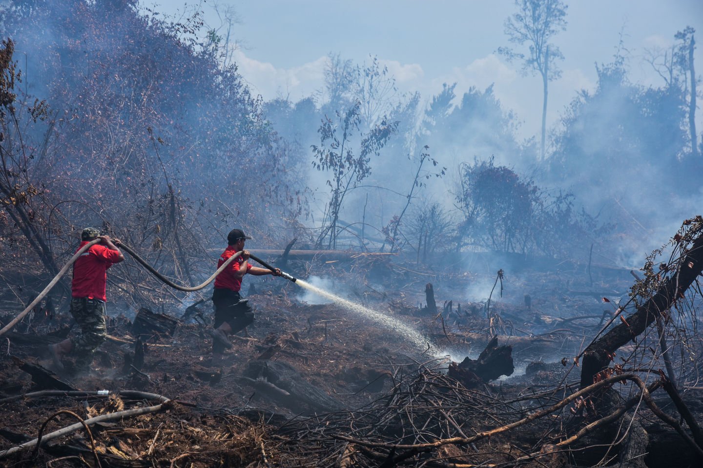 TOT Pelatihan Teknik Pencegahan Kebakaran Hutan dan Lahan Bagi Masyarakat Peduli Api Berkesadaran Hukum Angkatan II