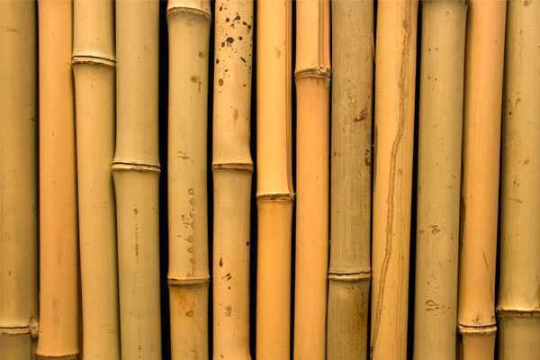 ToT Substansi Pelatihan Teknik Pengolahan Bambu