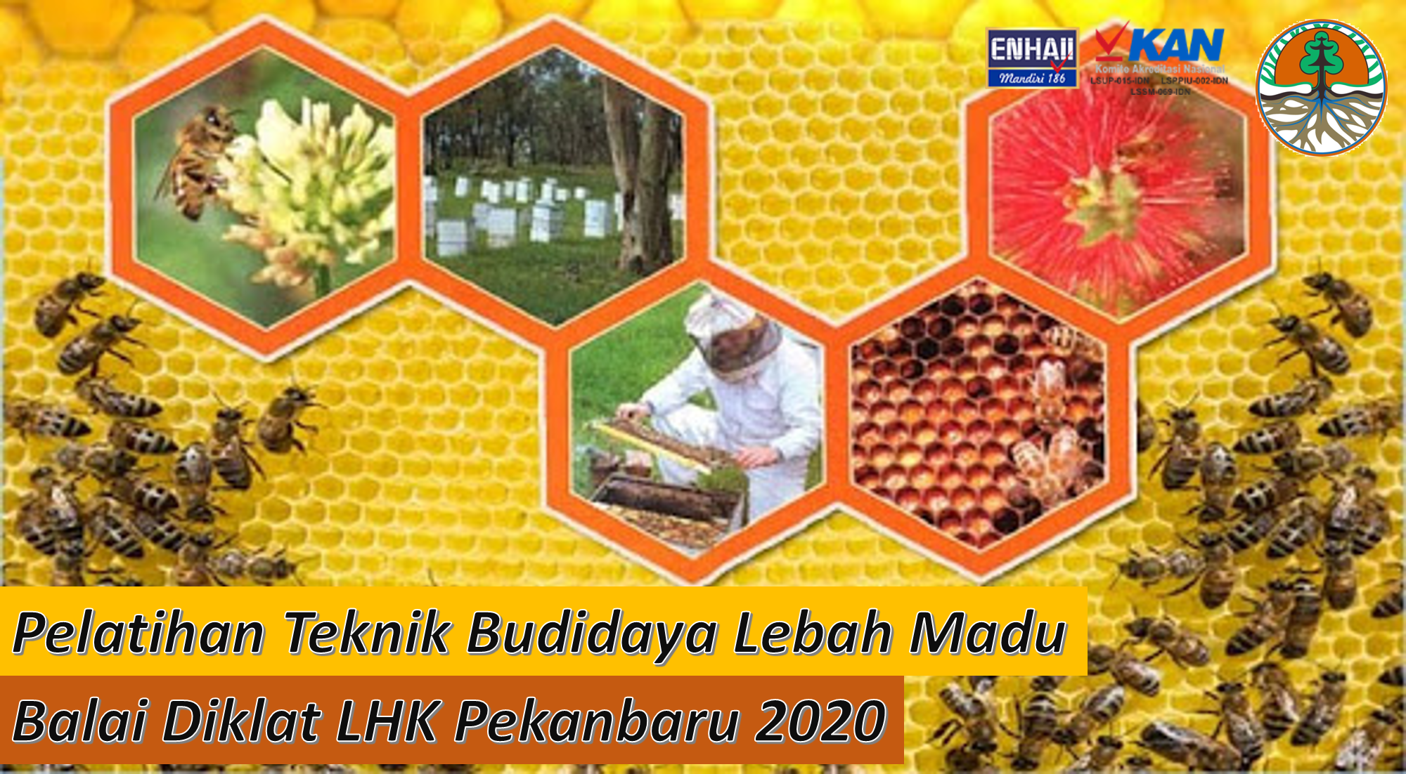 Pelatihan Teknik Budidaya Lebah Madu di Balai Diklat LHK Pekanbaru
