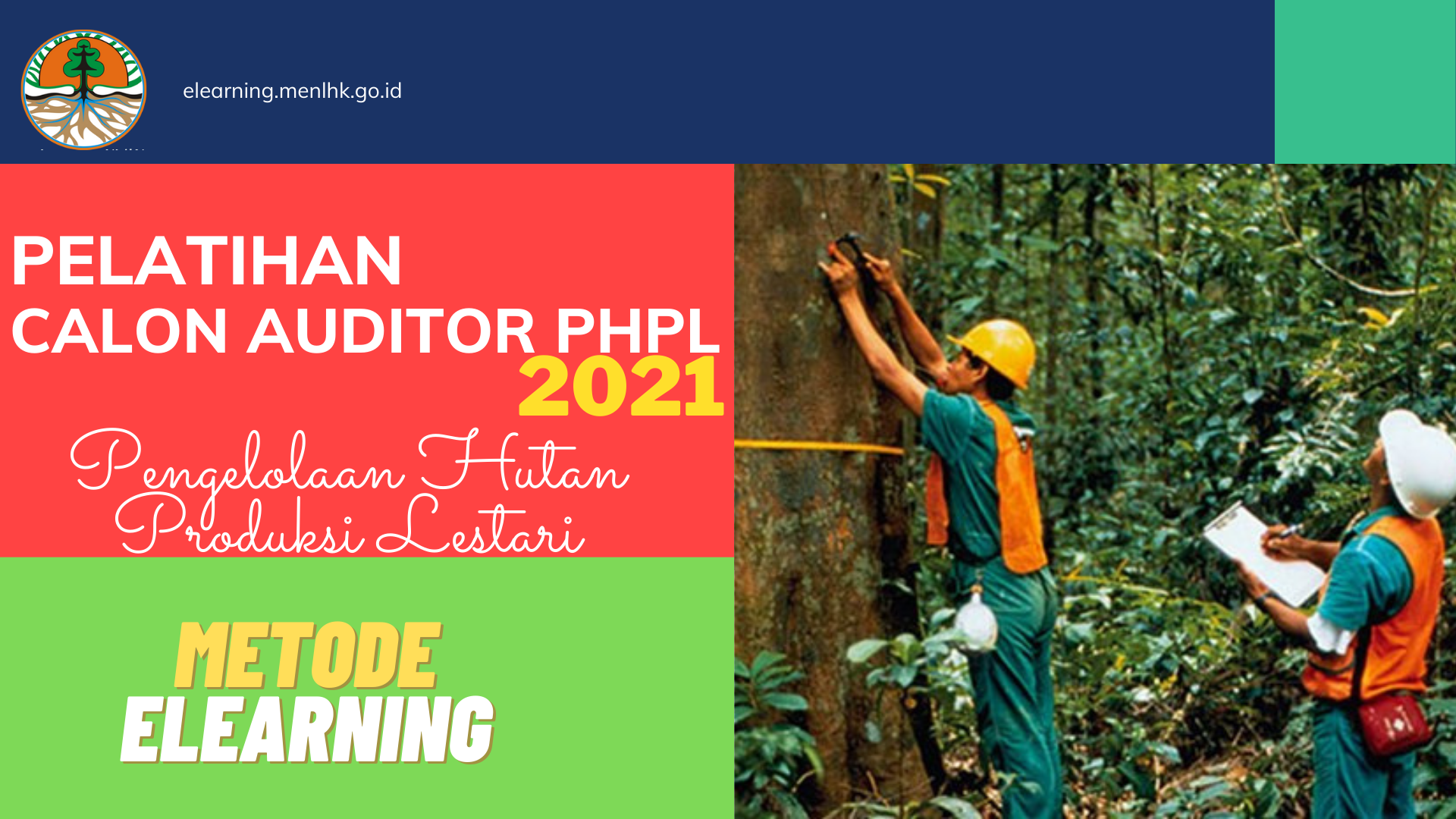 Pelatihan Calon Auditor PHPL untuk Hutan Negara